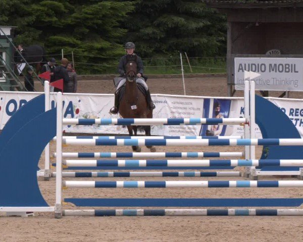 Reitturnier Ranshofen - Braunau am Inn 2024