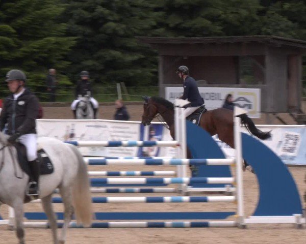 Reitturnier Ranshofen - Braunau am Inn 2024