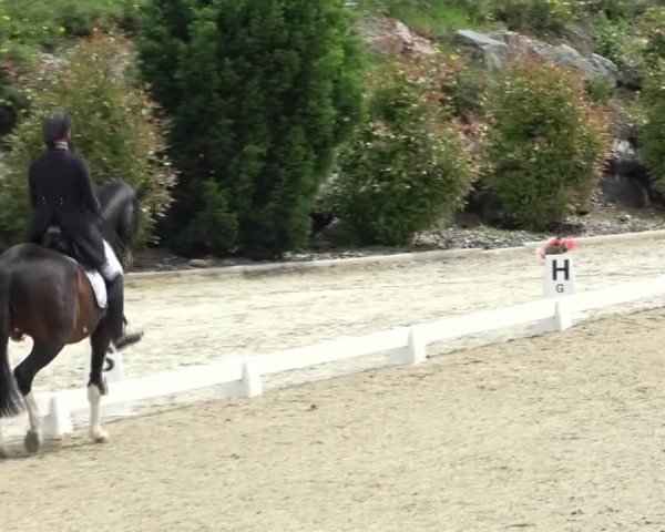 FEI Reitturnier St. Margarethen 2024