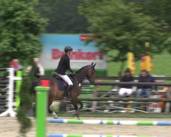 Reitturnier Kirchhellen/Stall Dieckmann 2024