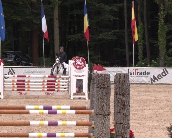 Reitturnier Ranshofen - Braunau am Inn 2024