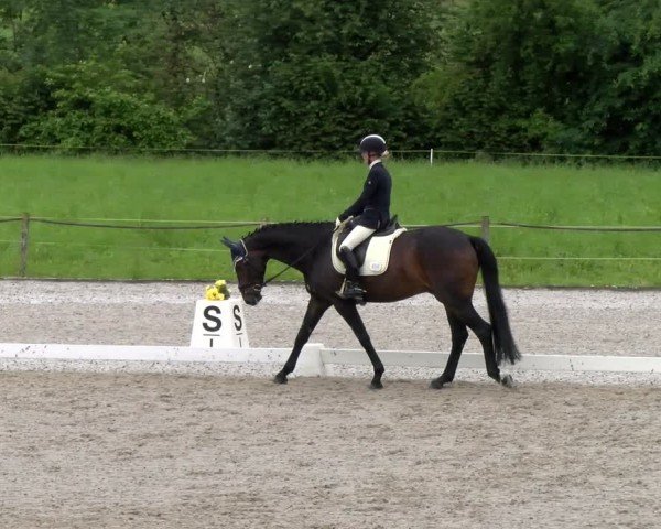 Reitturnier Gossau 2024