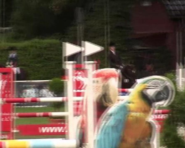 Westfalen-Woche 2012 Münster Handorf