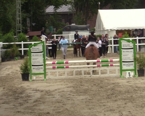 Reitturnier Dortmund-Somborn 2024