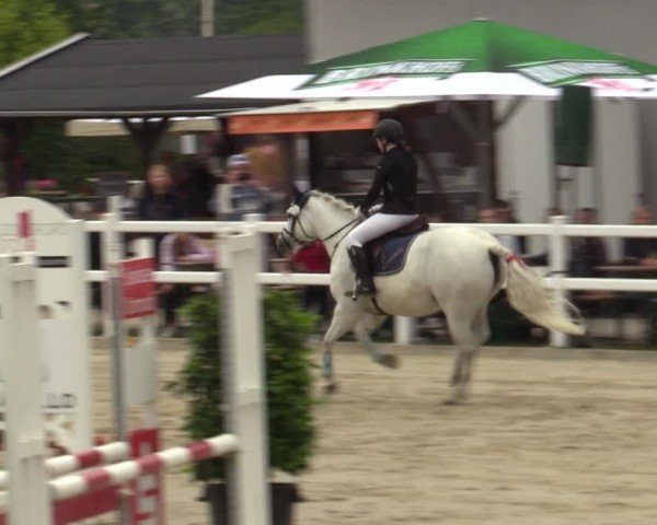 Reitturnier Dortmund-Somborn 2024