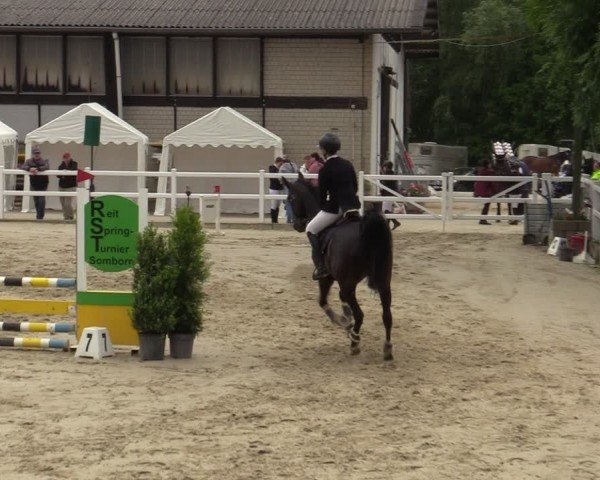 Reitturnier Dortmund-Somborn 2024