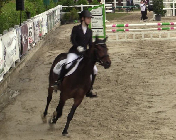Reitturnier Dortmund-Somborn 2024