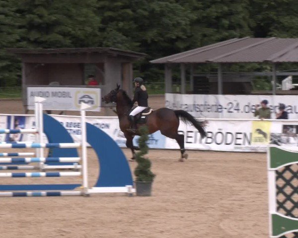 Reitturnier Ranshofen - Braunau am Inn 2024