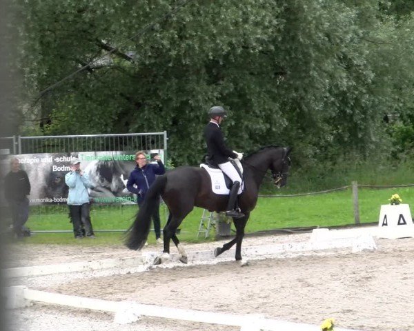 Reitturnier Gossau 2024