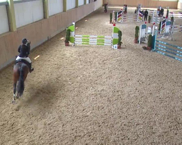 Reitturnier Münster/Ndb. 2024