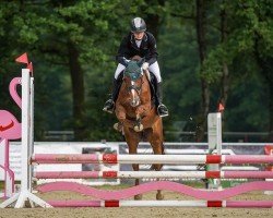 dressage horse Casjopaja 5 (German Riding Pony, 2015, from Top Christobell)