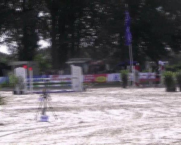 Datteln 2012