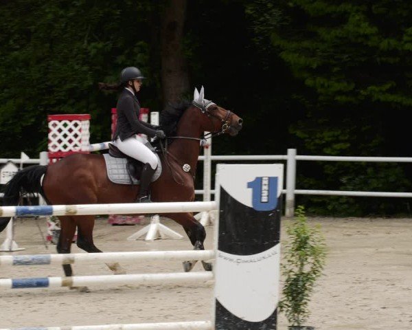 Reitturnier Losheim am See 2024