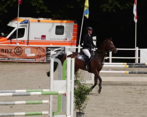 Reitturnier Losheim am See 2024