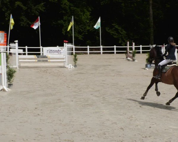 Reitturnier Losheim am See 2024