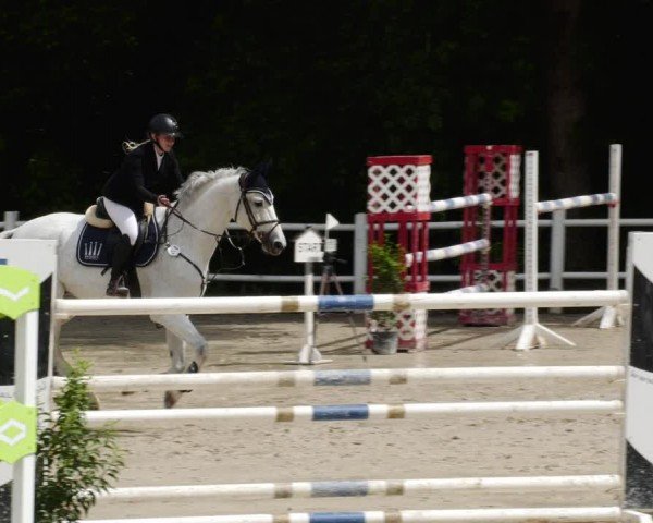 Reitturnier Losheim am See 2024