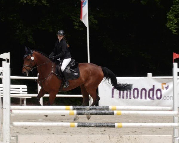 Reitturnier Losheim am See 2024