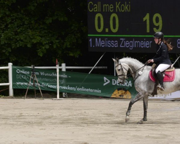 Reitturnier Losheim am See 2024