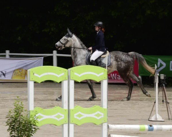 Reitturnier Losheim am See 2024