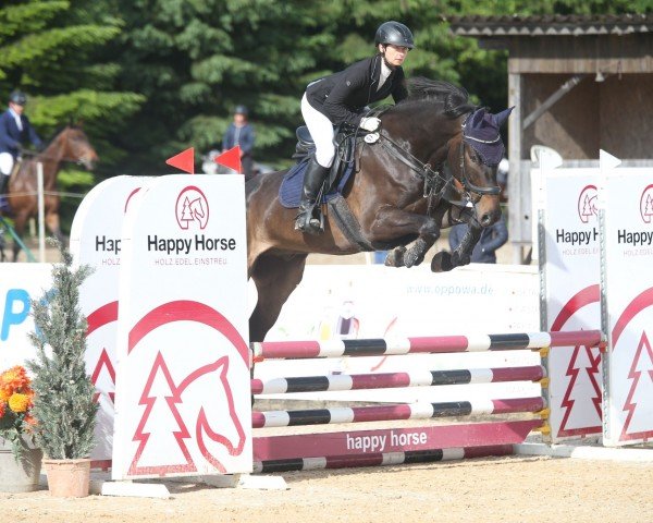 Springpferd Cornet's filius (Deutsches Reitpferd, 2019, von Cornet de Semilly)