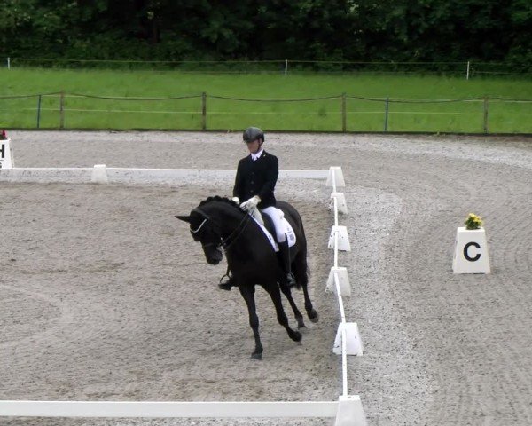 Reitturnier Gossau 2024