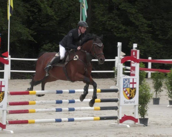 Reitturnier Losheim am See 2024