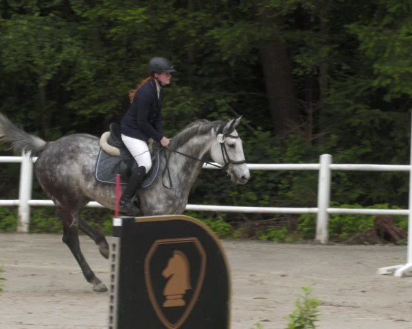 Reitturnier Losheim am See 2024