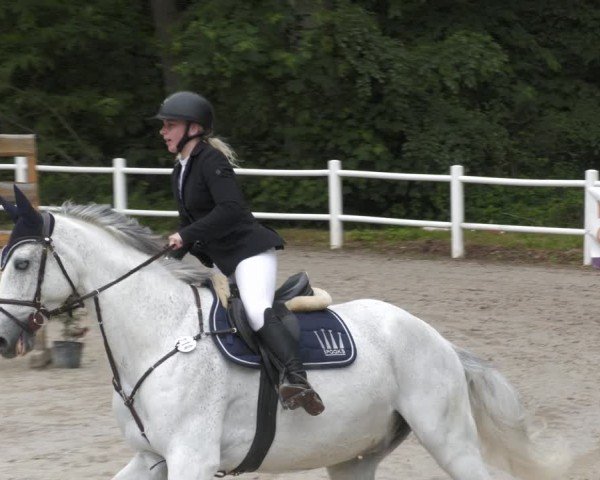 Reitturnier Losheim am See 2024