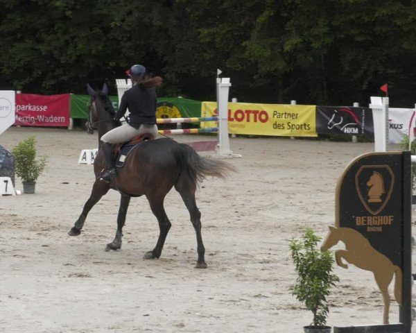 Reitturnier Losheim am See 2024