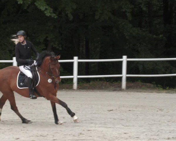 Reitturnier Losheim am See 2024