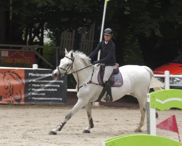Reitturnier Losheim am See 2024