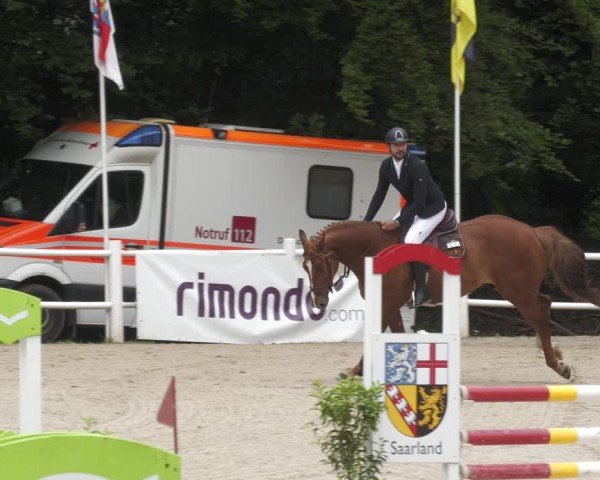 Reitturnier Losheim am See 2024