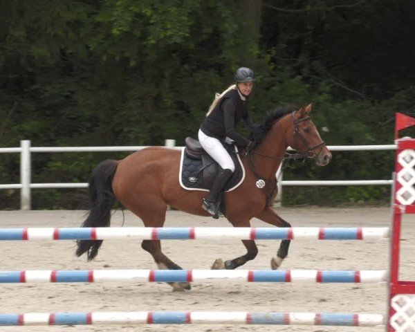 Reitturnier Losheim am See 2024