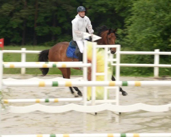 Reitturnier Nordstetten- Horb 2024