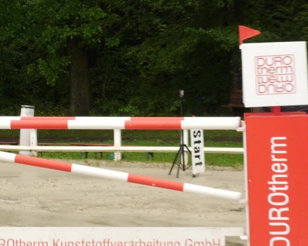 Reitturnier Nordstetten- Horb 2024