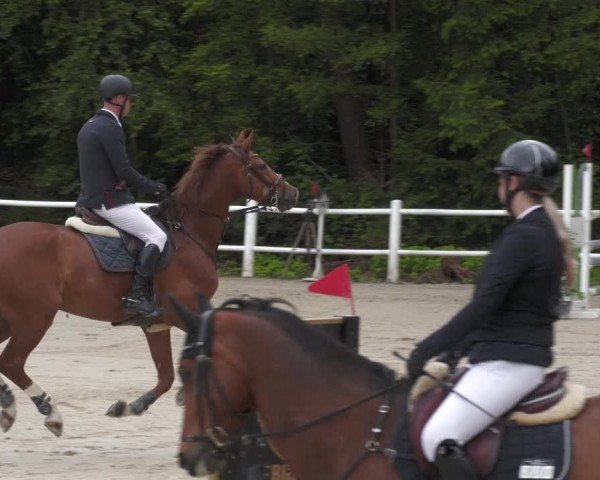 Reitturnier Losheim am See 2024