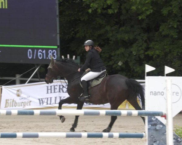Reitturnier Losheim am See 2024