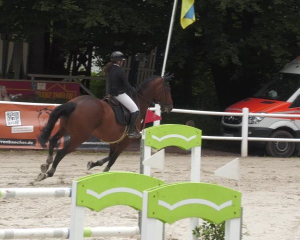Reitturnier Losheim am See 2024