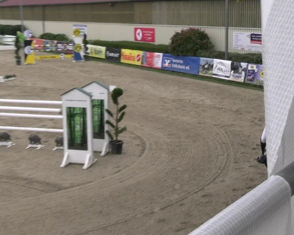 Reitturnier Kirchhellen/Stall Dieckmann 2024