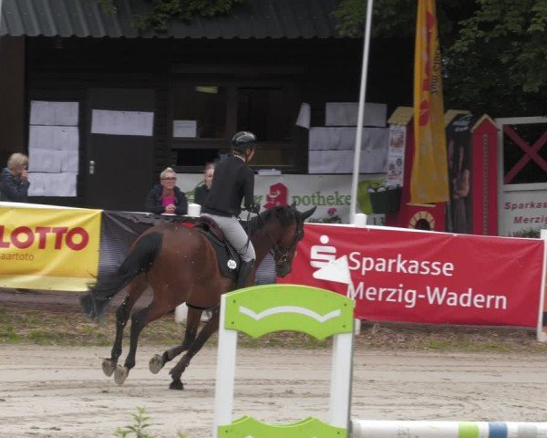 Reitturnier Losheim am See 2024