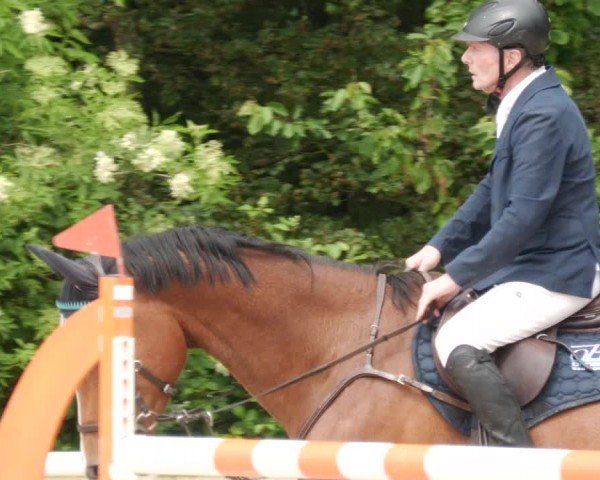 Reitturnier Nordstetten- Horb 2024