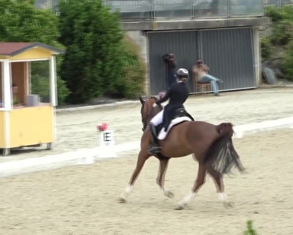 FEI Reitturnier St. Margarethen 2024