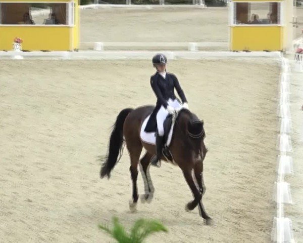 FEI Reitturnier St. Margarethen 2024