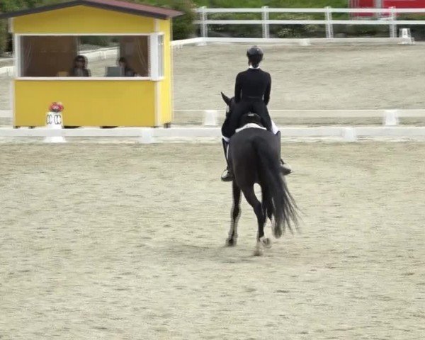 FEI Reitturnier St. Margarethen 2024