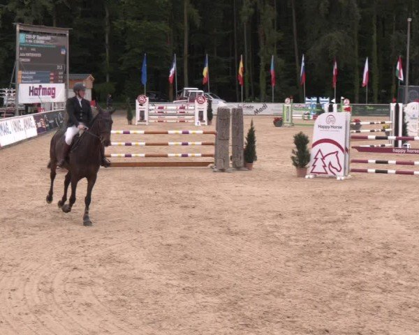 Reitturnier Ranshofen - Braunau am Inn 2024