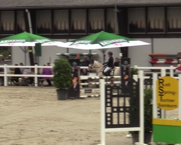 Reitturnier Dortmund-Somborn 2024