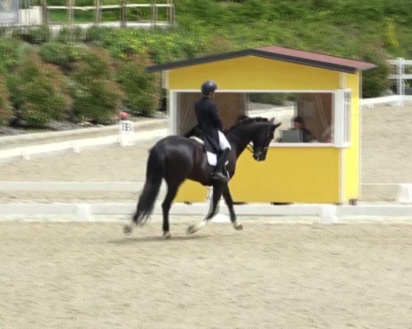 FEI Reitturnier St. Margarethen 2024