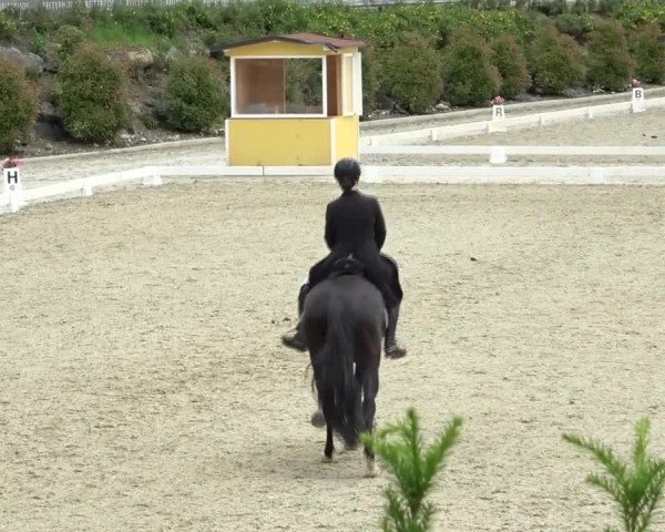 FEI Reitturnier St. Margarethen 2024