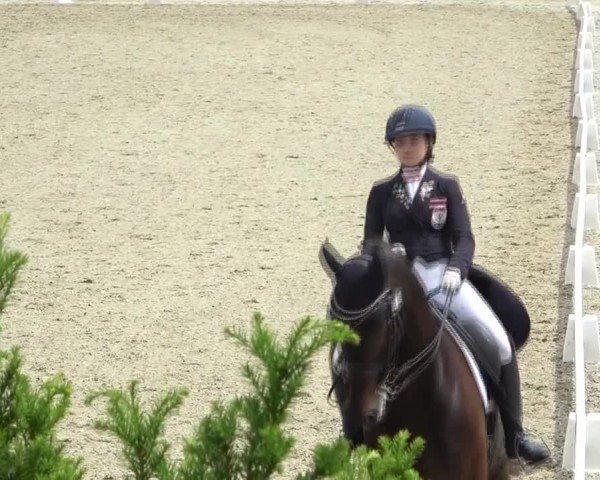 FEI Reitturnier St. Margarethen 2024