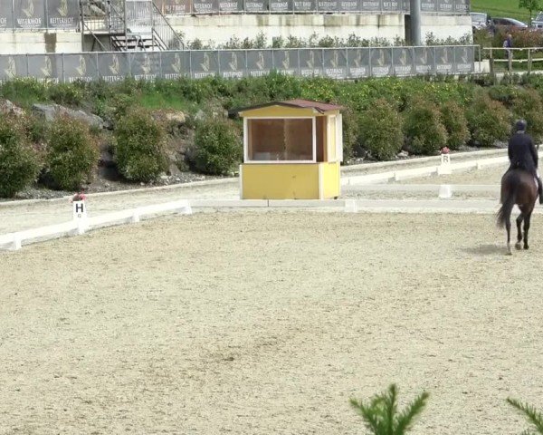 FEI Reitturnier St. Margarethen 2024